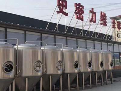 萝北精酿啤酒设备厂—如何判断精酿啤酒设备的密封件需要更换？